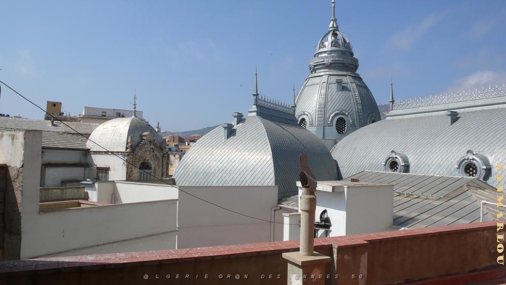 P1150355 sur la terrasse de la chambre de Commerce d'Oran.JPG